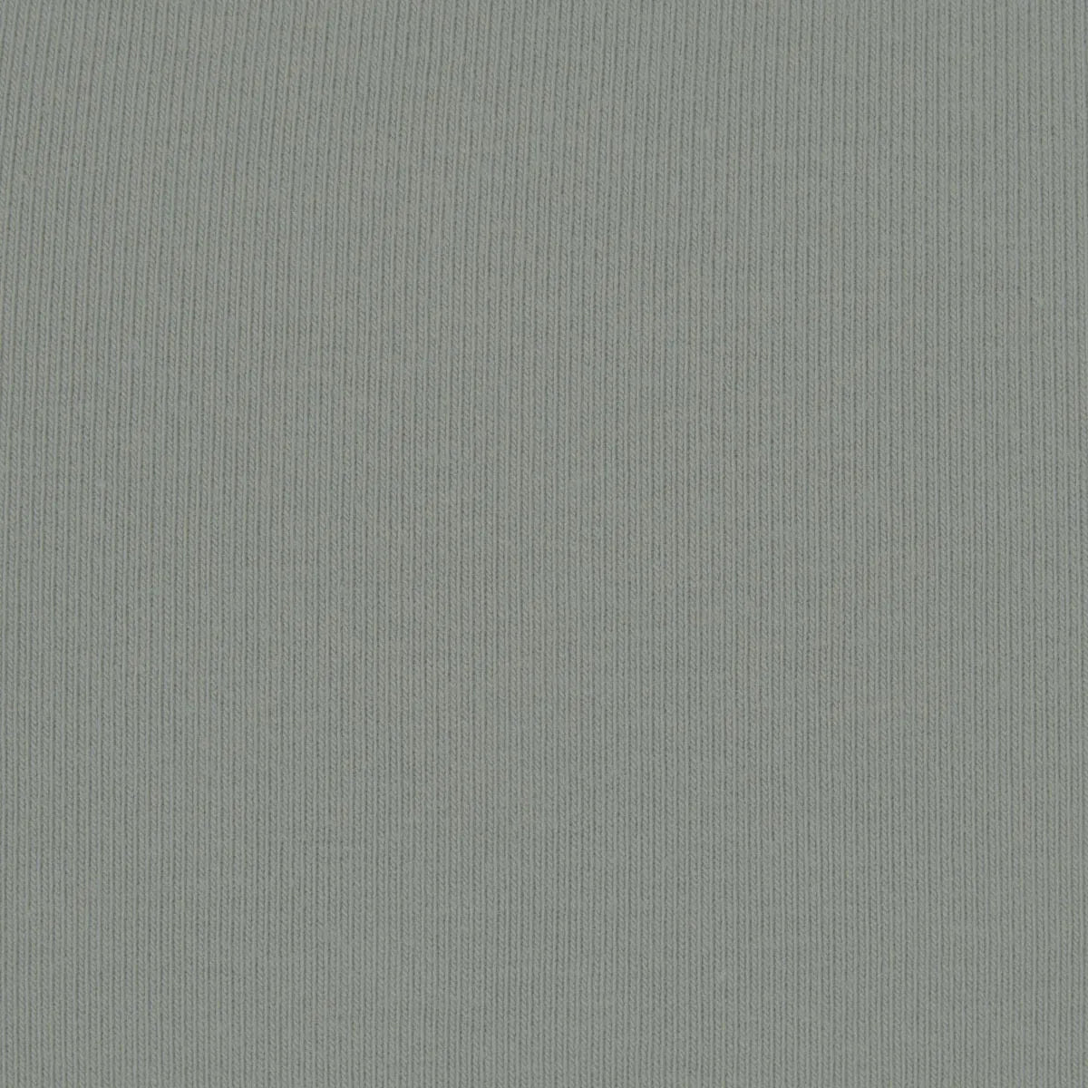 Skims Cotton Jersey Long Sleeve T-Shirt Mineral