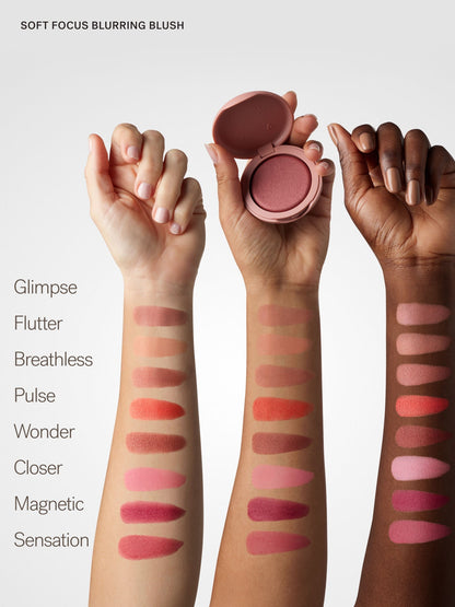 The Complexion + Color Set