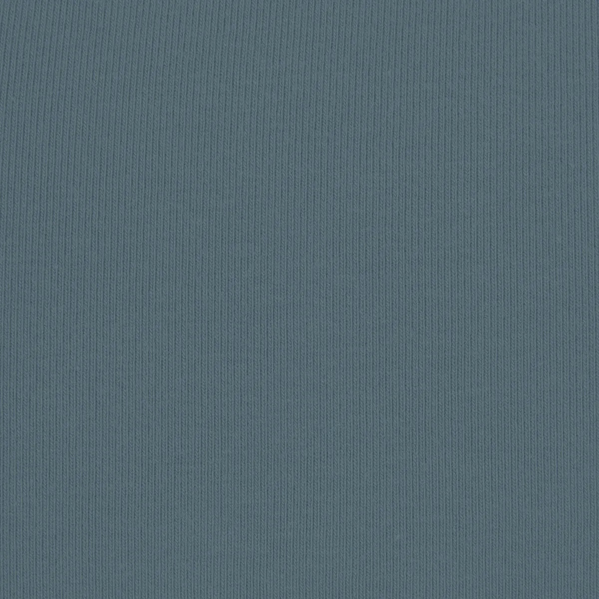 Skims Cotton Jersey Long Sleeve T-Shirt Kyanite