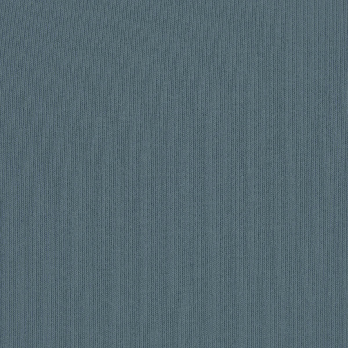 Skims Cotton Jersey T-shirt Kyanite