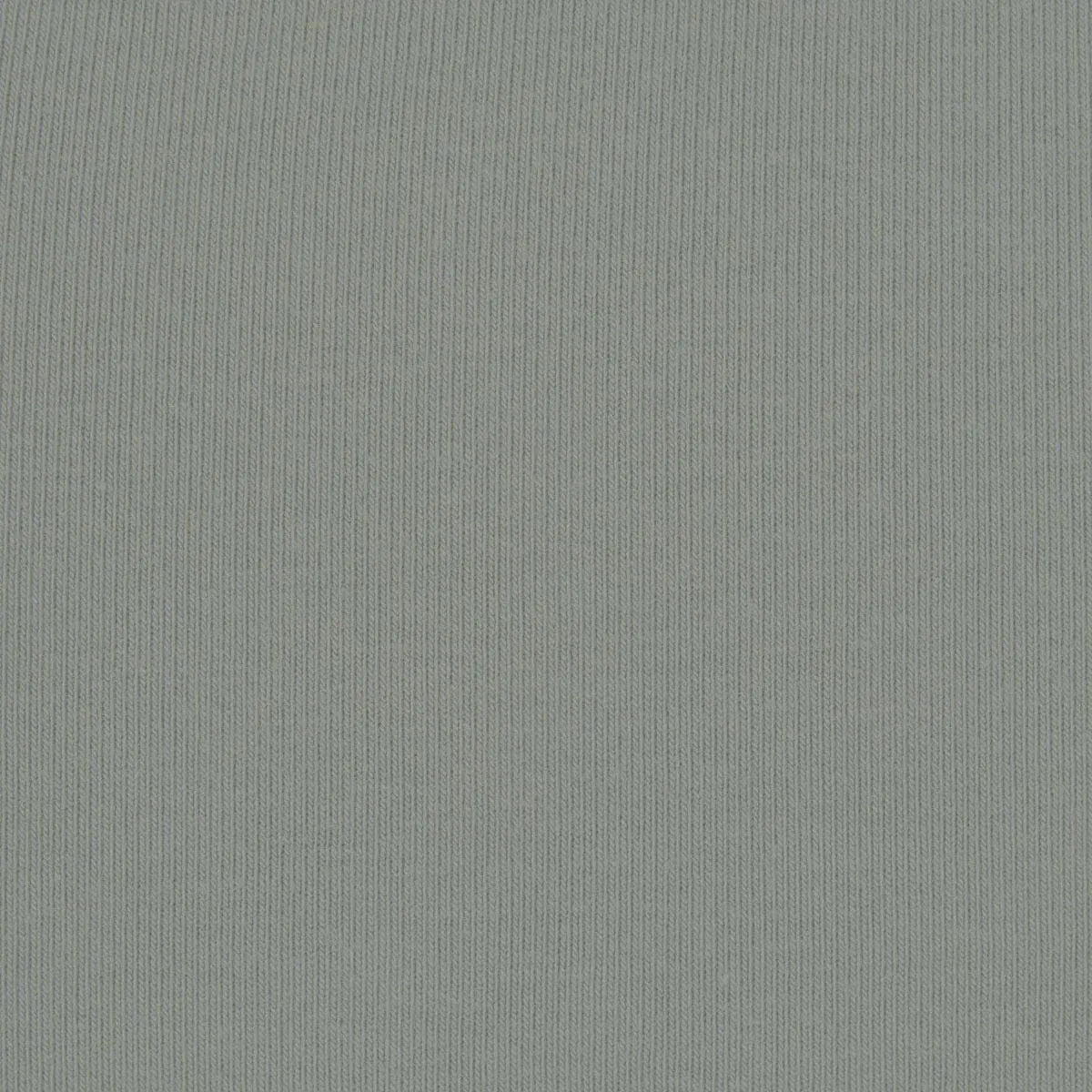 Skims Cotton Jersey T-shirt Mineral