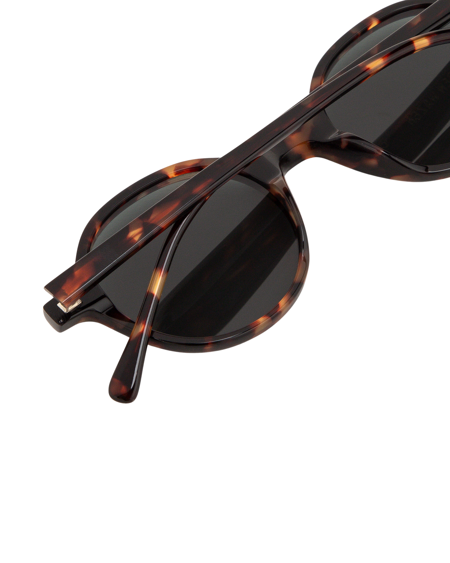 Rey - Green on Tortoise Sunglasses