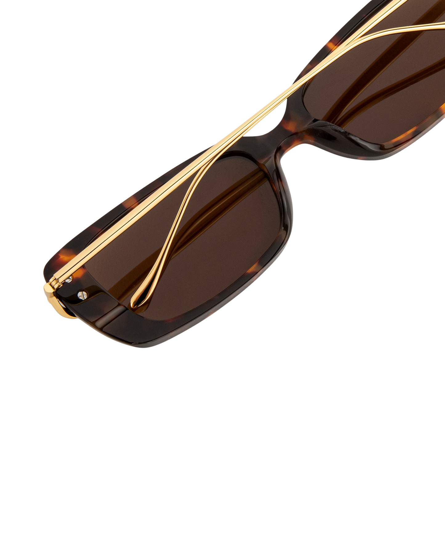 Zina - Tortoise Sunglasses